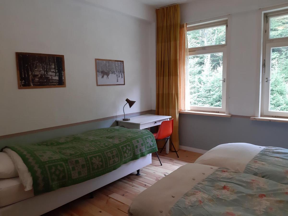Das Okerhaus Vegetarische B&B Mit Halbpension Altenau  Exterior photo