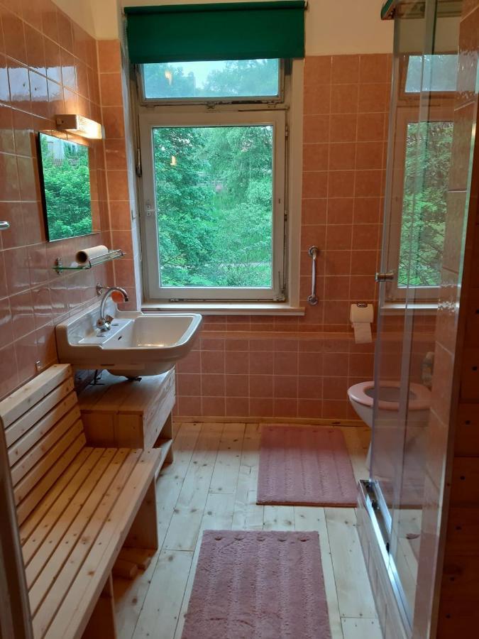 Das Okerhaus Vegetarische B&B Mit Halbpension Altenau  Exterior photo
